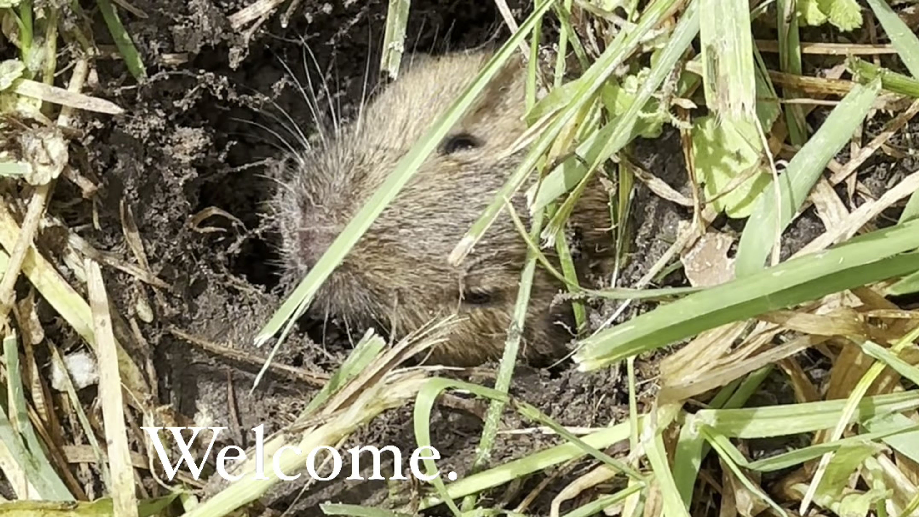 Welcome!